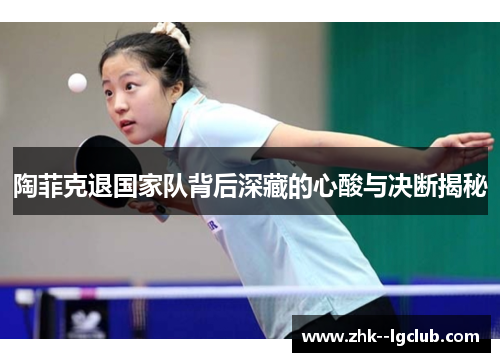 陶菲克退国家队背后深藏的心酸与决断揭秘